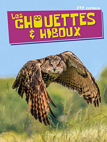 Chouettes & hiboux (Les)